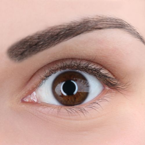 Brows & Lashes